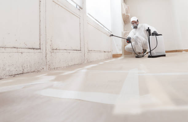 24/7 Emergency Mold Removal experts in Tarpon Springs, FL